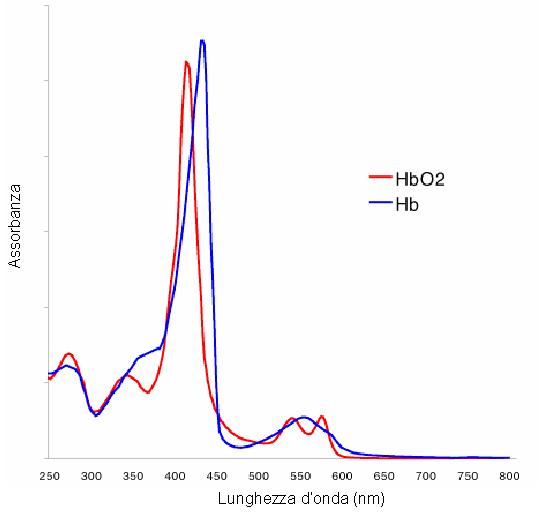haemoglobin